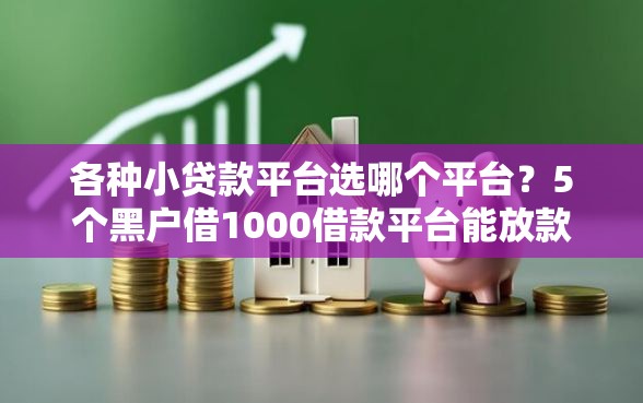 各种小贷款平台选哪个平台？5个黑户借1000借款平台能放款推荐