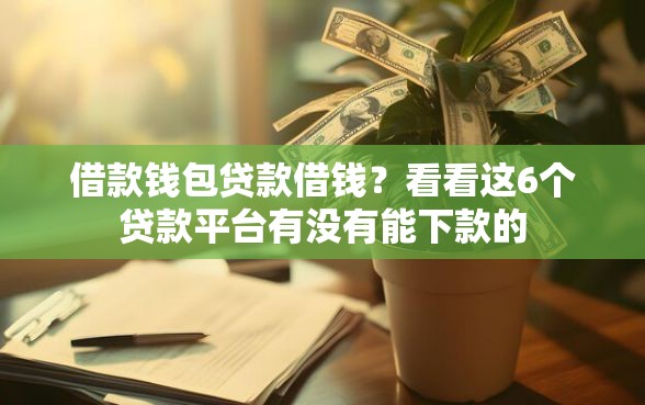 借款钱包贷款借钱？看看这6个贷款平台有没有能下款的