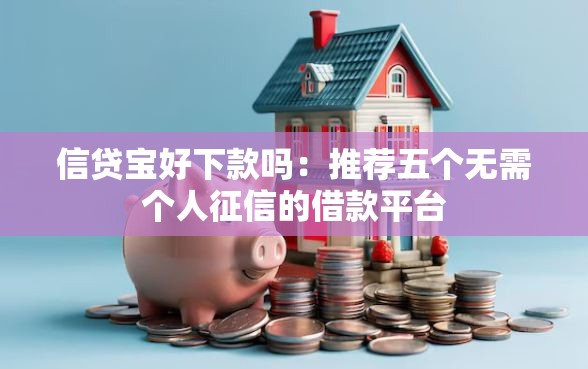 信贷宝好下款吗：推荐五个无需个人征信的借款平台