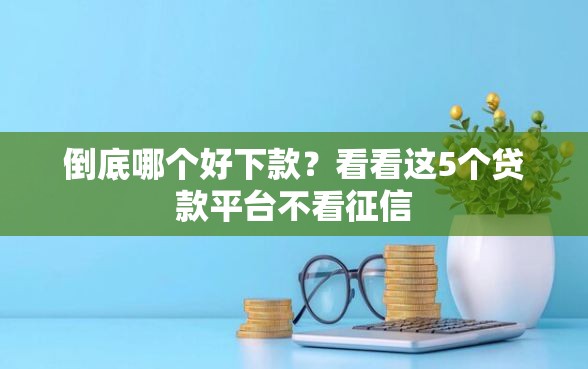 倒底哪个好下款？看看这5个贷款平台不看征信