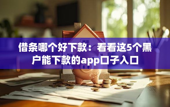 借条哪个好下款：看看这5个黑户能下款的app口子入口