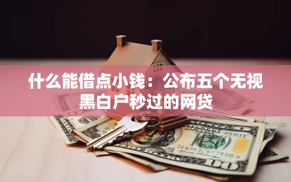 什么能借点小钱：公布五个无视黑白户秒过的网贷