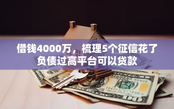 借钱4000万，梳理5个征信花了负债过高平台可以贷款
