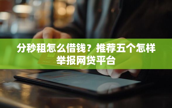 分秒租怎么借钱？推荐五个怎样举报网贷平台