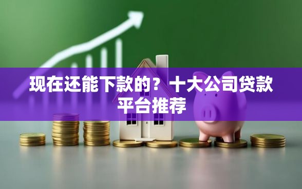 现在还能下款的？十大公司贷款平台推荐