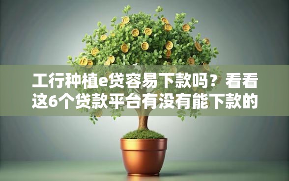 工行种植e贷容易下款吗？看看这6个贷款平台有没有能下款的