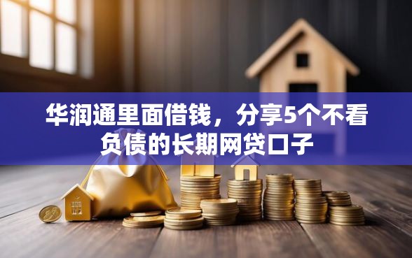 华润通里面借钱，分享5个不看负债的长期网贷口子