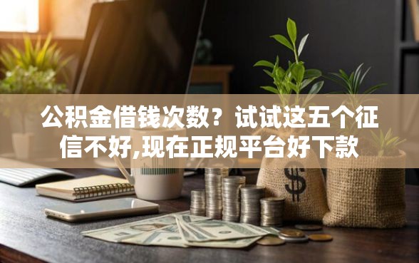 公积金借钱次数？试试这五个征信不好,现在正规平台好下款