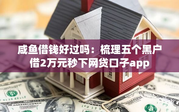 咸鱼借钱好过吗：梳理五个黑户借2万元秒下网贷口子app