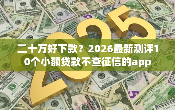 二十万好下款？2026最新测评10个小额贷款不查征信的app