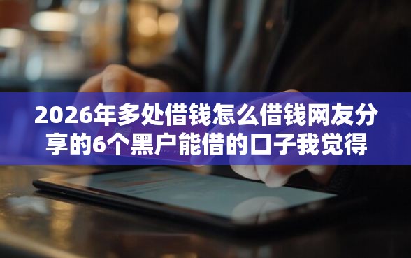2026年多处借钱怎么借钱网友分享的6个黑户能借的口子我觉得不错！