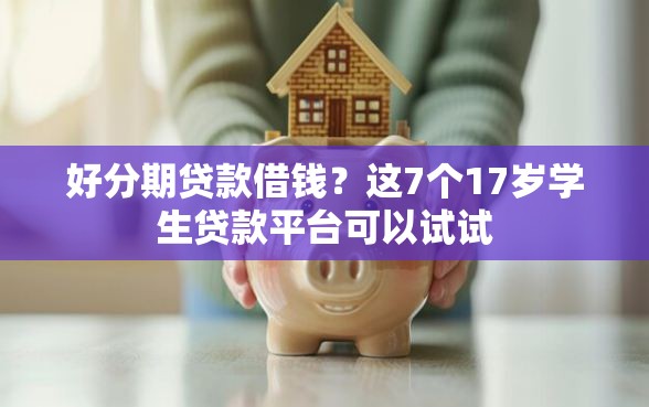 好分期贷款借钱？这7个17岁学生贷款平台可以试试