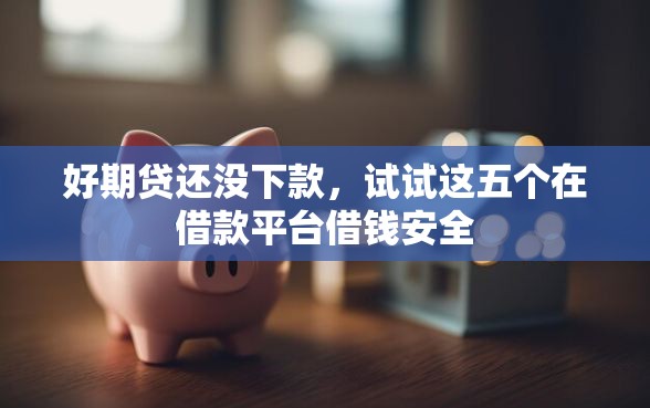 好期贷还没下款，试试这五个在借款平台借钱安全