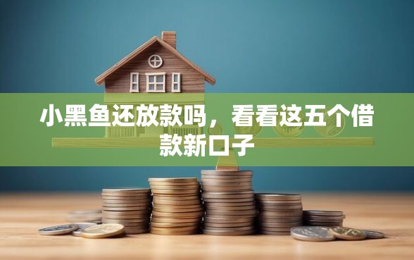 小黑鱼还放款吗，看看这五个借款新口子