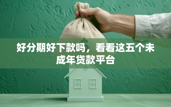 好分期好下款吗，看看这五个未成年贷款平台