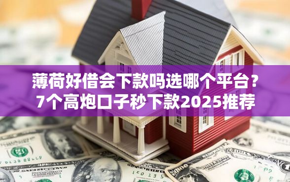 薄荷好借会下款吗选哪个平台？7个高炮口子秒下款2025推荐