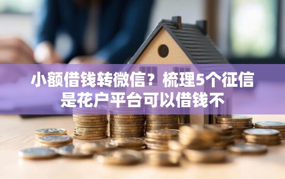 小额借钱转微信？梳理5个征信是花户平台可以借钱不