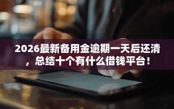 2026最新备用金逾期一天后还清，总结十个有什么借钱平台！