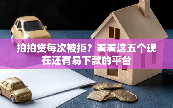 拍拍贷每次被拒？看看这五个现在还有易下款的平台