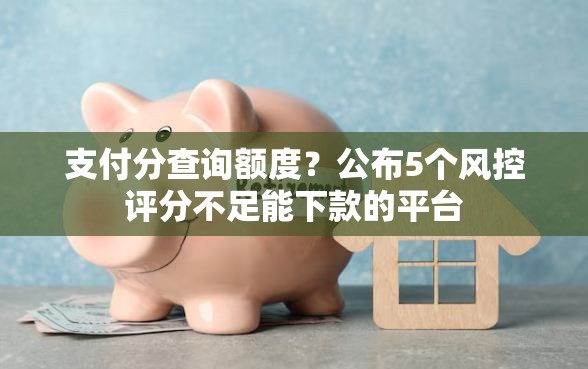 支付分查询额度？公布5个风控评分不足能下款的平台