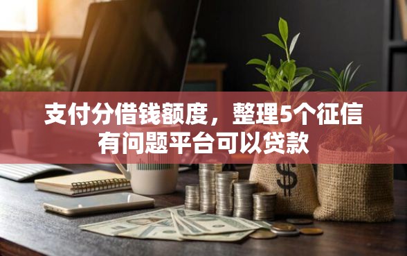 支付分借钱额度，整理5个征信有问题平台可以贷款
