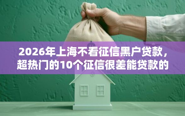 2026年上海不看征信黑户贷款，超热门的10个征信很差能贷款的平台推荐