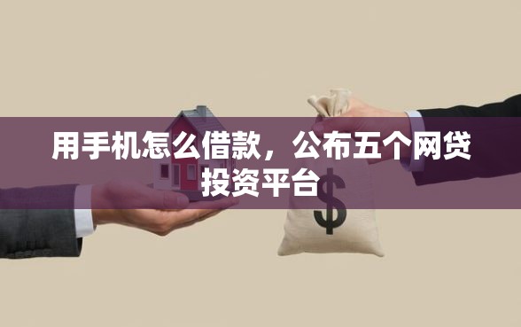 用手机怎么借款，公布五个网贷投资平台