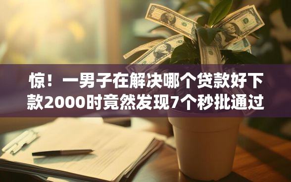 惊！一男子在解决哪个贷款好下款2000时竟然发现7个秒批通过的网贷app，事后分享了出来