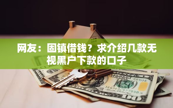 网友：固镇借钱？求介绍几款无视黑户下款的口子