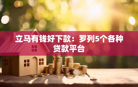 立马有钱好下款：罗列5个各种贷款平台