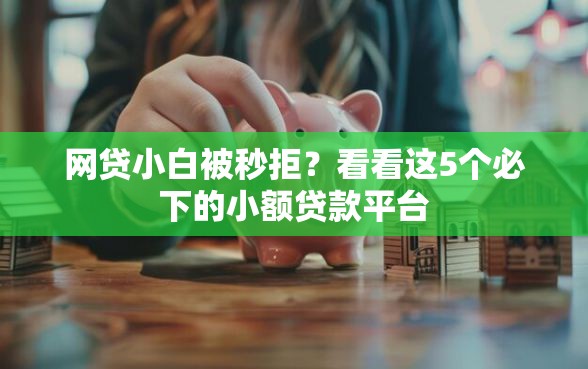 网贷小白被秒拒？看看这5个必下的小额贷款平台