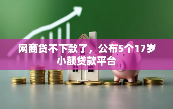 网商贷不下款了，公布5个17岁小额贷款平台