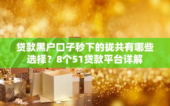 贷款黑户口子秒下的拢共有哪些选择？8个51贷款平台详解