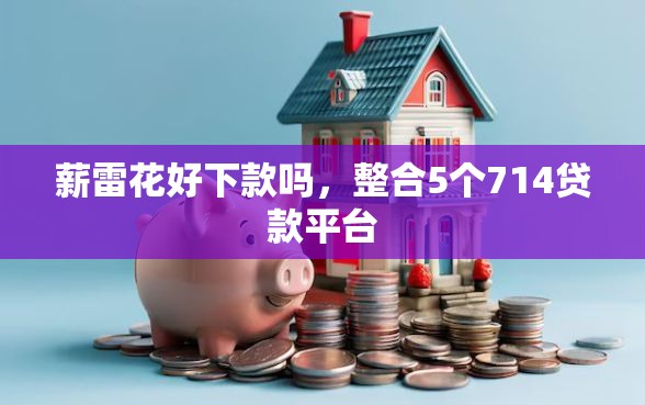 薪雷花好下款吗，整合5个714贷款平台