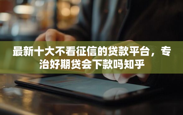 最新十大不看征信的贷款平台，专治好期贷会下款吗知乎