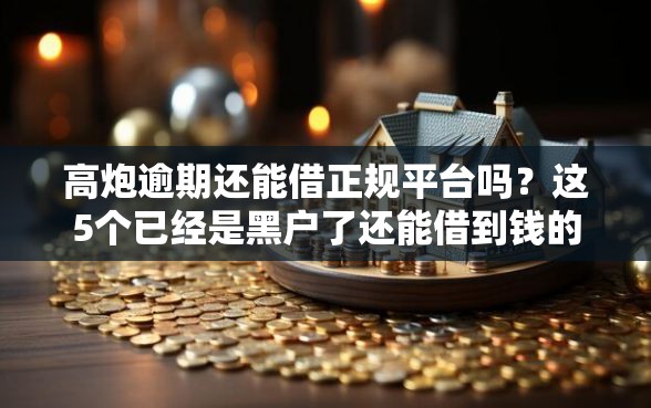 高炮逾期还能借正规平台吗？这5个已经是黑户了还能借到钱的软件值得一试