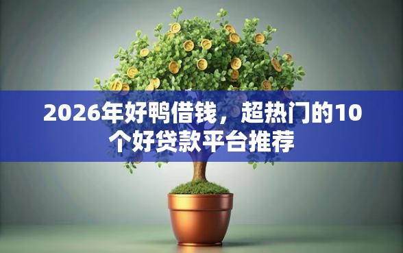 2026年好鸭借钱，超热门的10个好贷款平台推荐