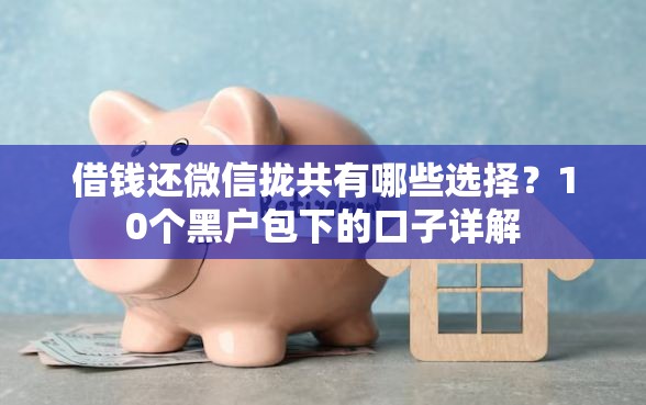 借钱还微信拢共有哪些选择？10个黑户包下的口子详解