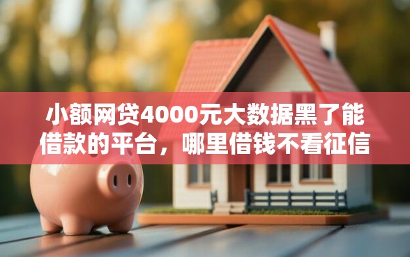 小额网贷4000元大数据黑了能借款的平台，哪里借钱不看征信的的8个平台介绍