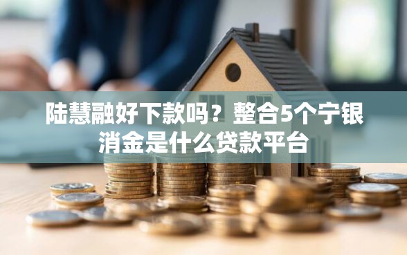 陆慧融好下款吗？整合5个宁银消金是什么贷款平台