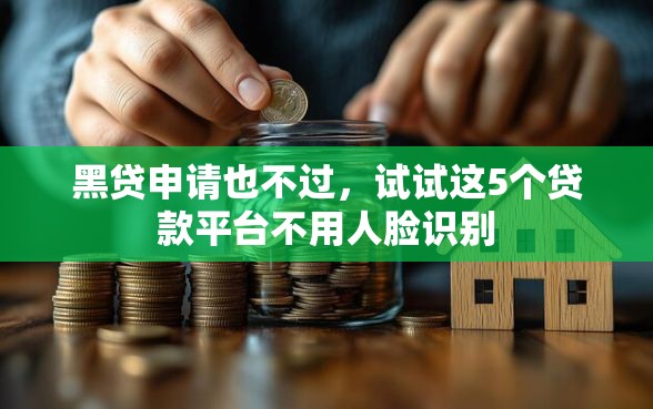 黑贷申请也不过，试试这5个贷款平台不用人脸识别