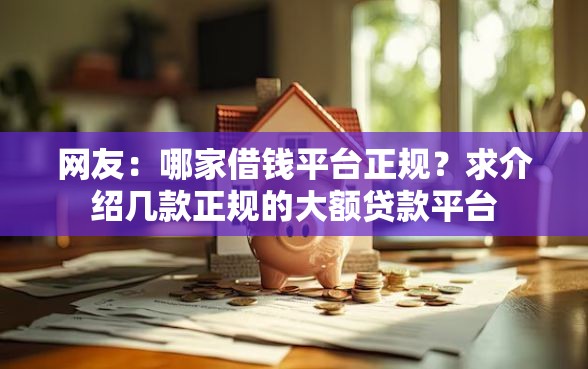 网友：哪家借钱平台正规？求介绍几款正规的大额贷款平台