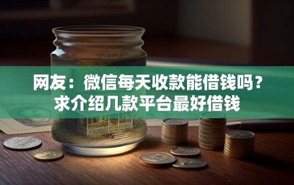 网友：微信每天收款能借钱吗？求介绍几款平台最好借钱