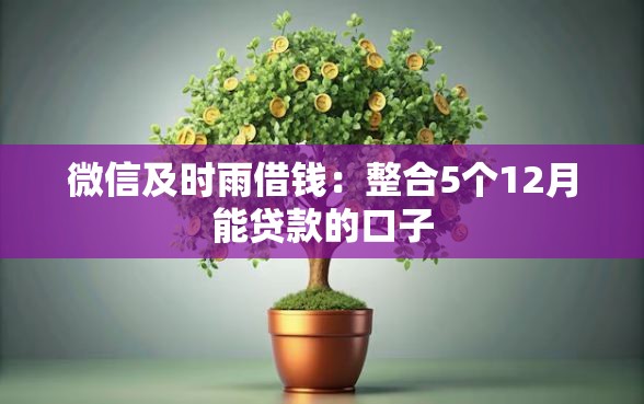 微信及时雨借钱:整合5个12月能贷款的口子 微信及时雨借钱:整合5个12月能贷款的口子
