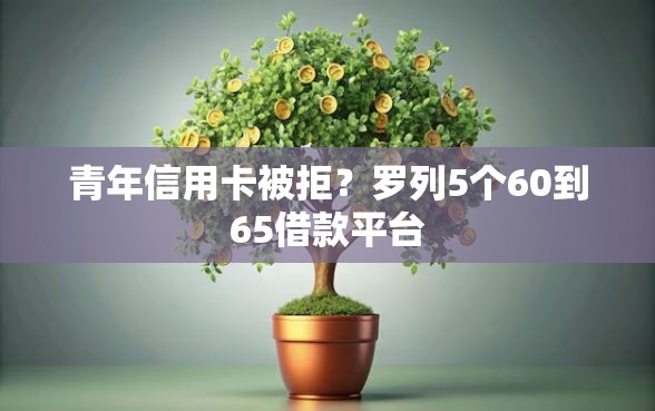 青年信用卡被拒？罗列5个60到65借款平台