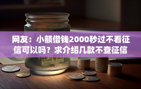 网友：小额借钱2000秒过不看征信可以吗？求介绍几款不查征信好下款的网贷app