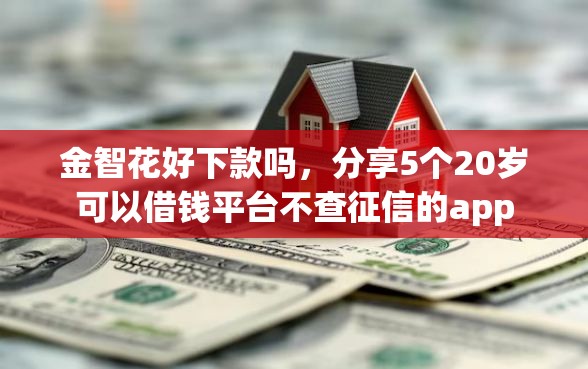 金智花好下款吗，分享5个20岁可以借钱平台不查征信的app