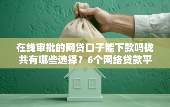 在线审批的网贷口子能下款吗拢共有哪些选择？6个网络贷款平台排名不分先后详解