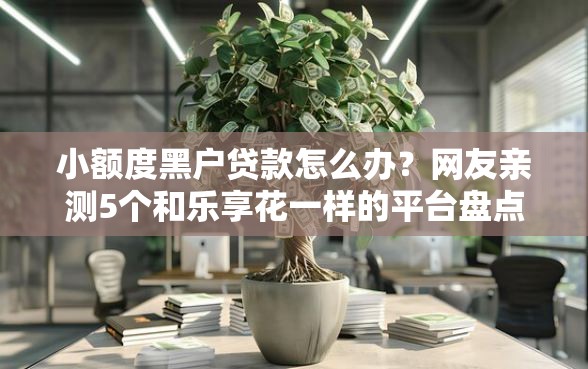 小额度黑户贷款怎么办？网友亲测5个和乐享花一样的平台盘点