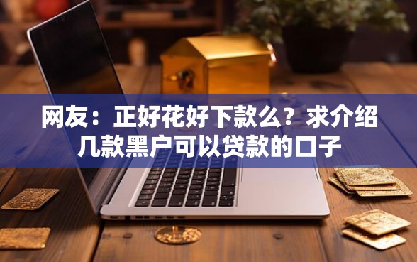 网友：正好花好下款么？求介绍几款黑户可以贷款的口子
